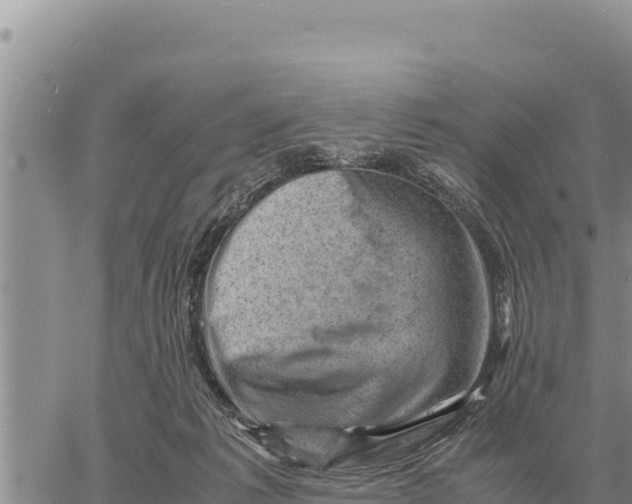 X0000061110221200512091825