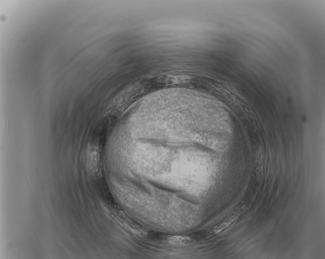 X0000061110222200512091825