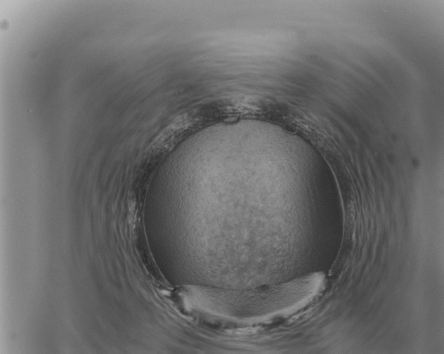 X0000061110223200512091825