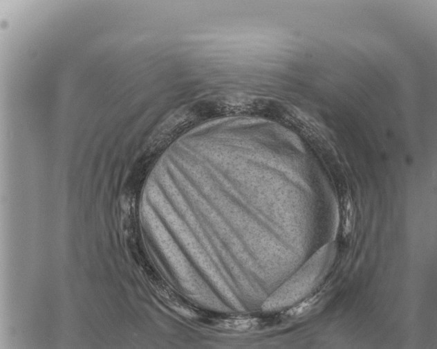 X0000061110225200512091825