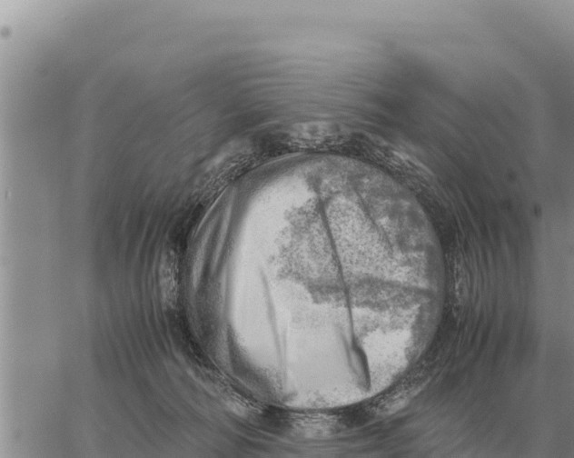 X0000061110226200512091825