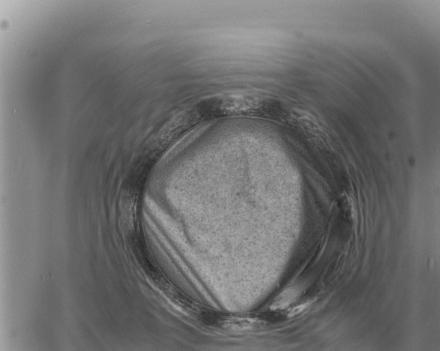 X0000061110227200512091825