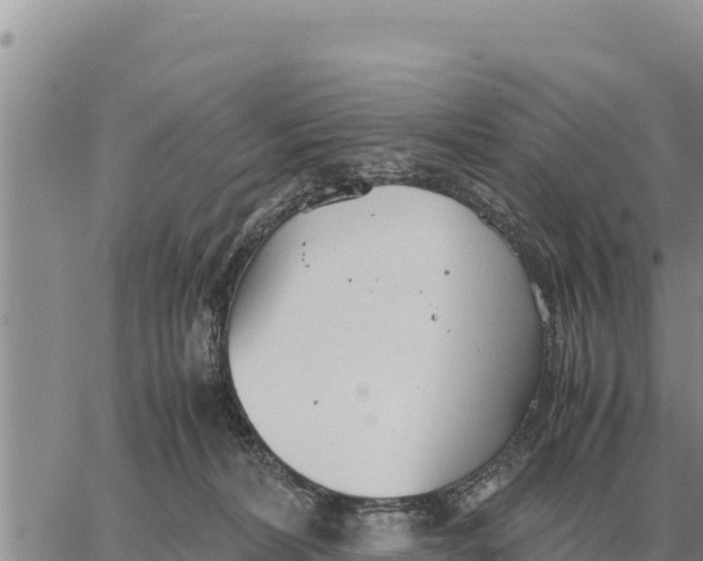 X0000061110228200512091825