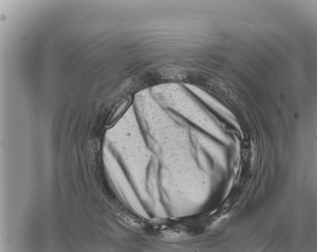 X0000061110229200512091825