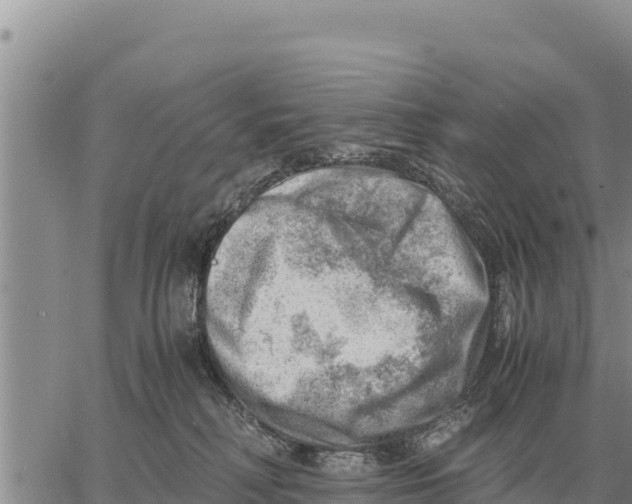 X0000061110230200512091825