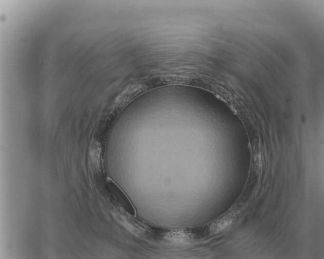 X0000061110231200512091825