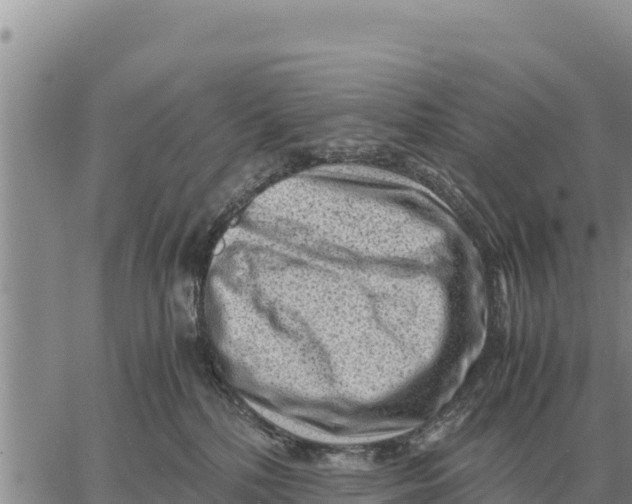 X0000061110232200512091825