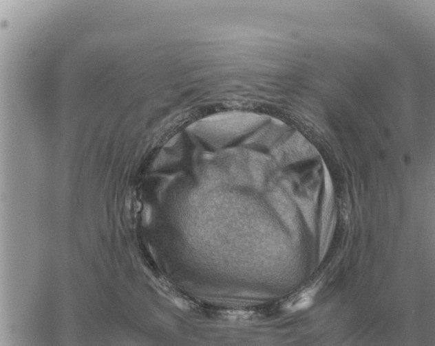 X0000061110233200512091825