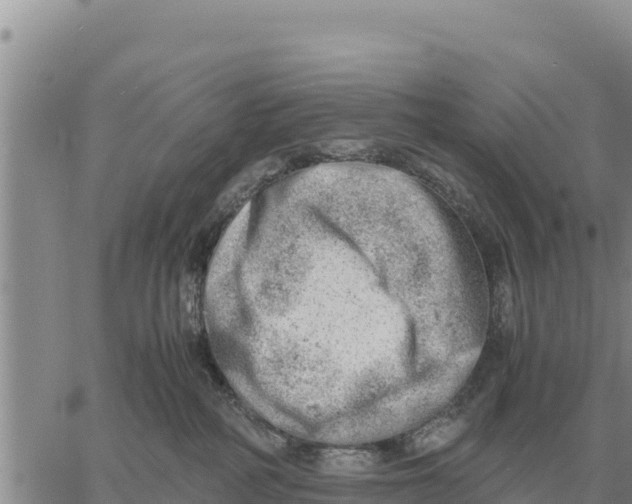 X0000061110234200512091825