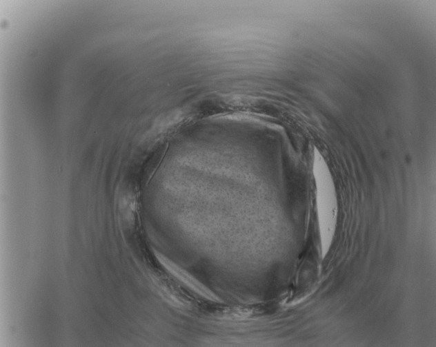 X0000061110235200512091825