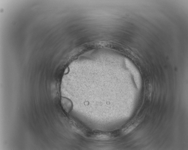 X0000061110236200512091825