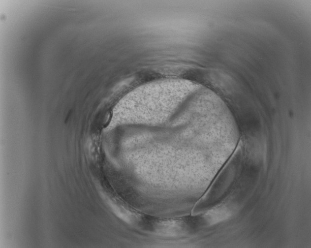 X0000061110237200512091825