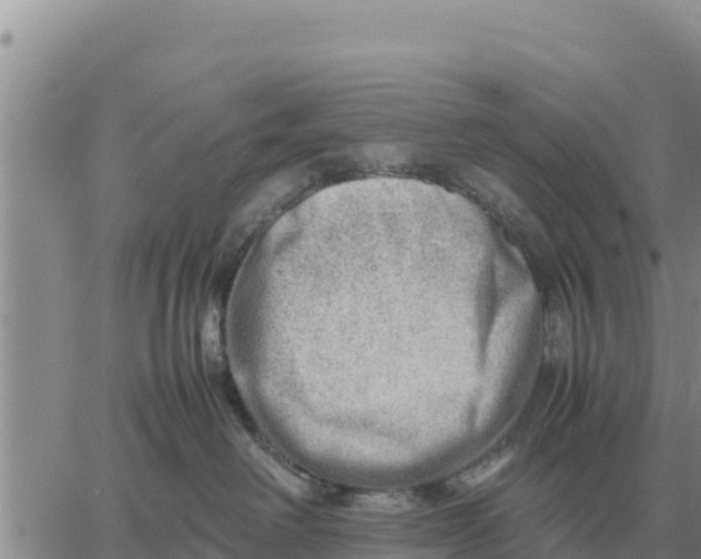 X0000061110238200512091825