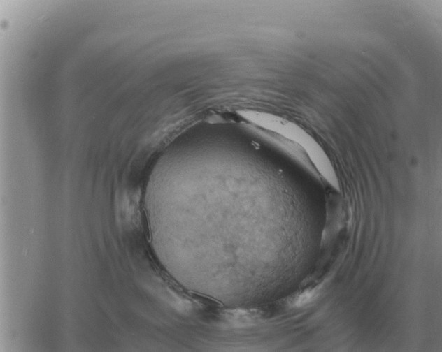 X0000061110239200512091825