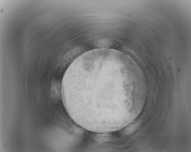 X0000061110240200512091825