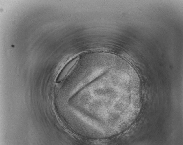 X0000061110241200512091824