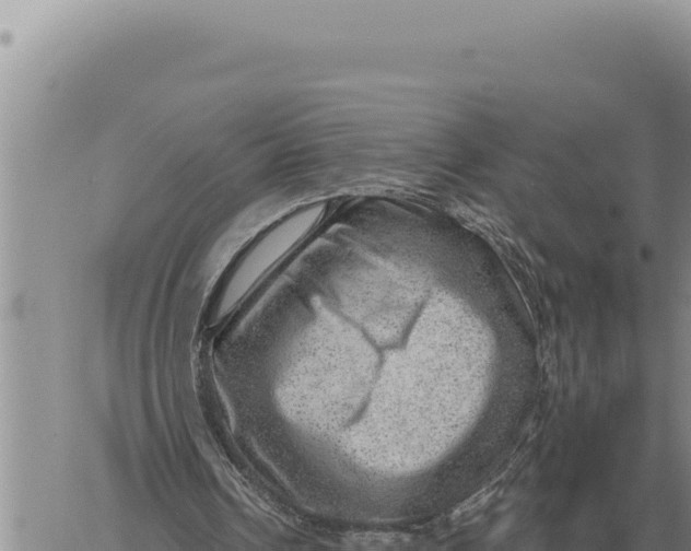 X0000061110242200512091824