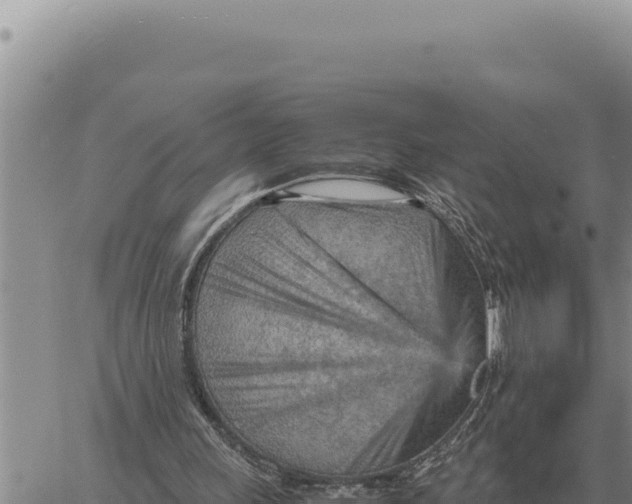 X0000061110243200512091824