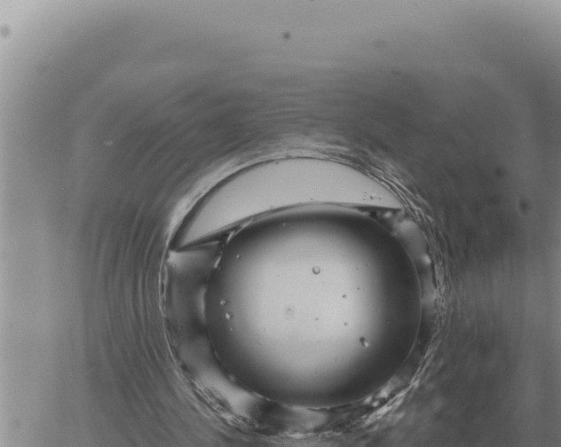 X0000061110244200512091824