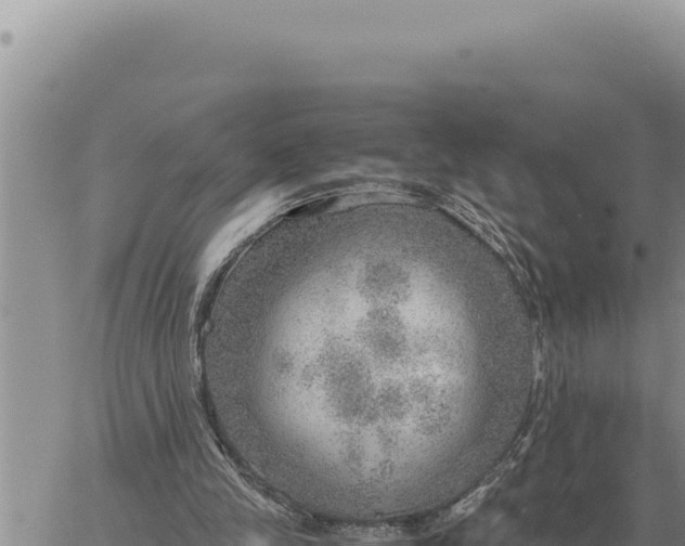 X0000061110245200512091824