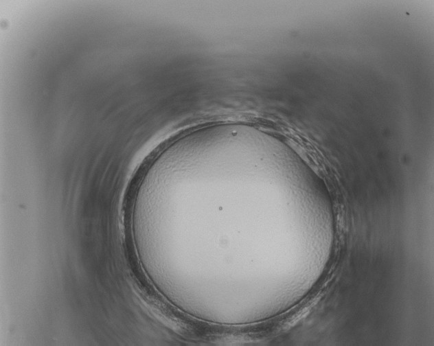 X0000061110246200512091824