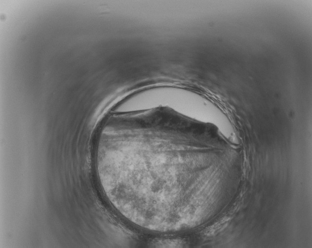 X0000061110247200512091824