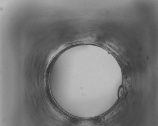 X0000061110248200512091824