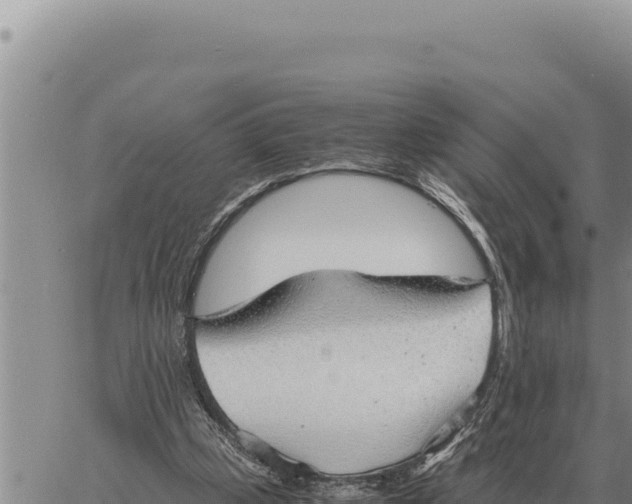 X0000061110249200512091824