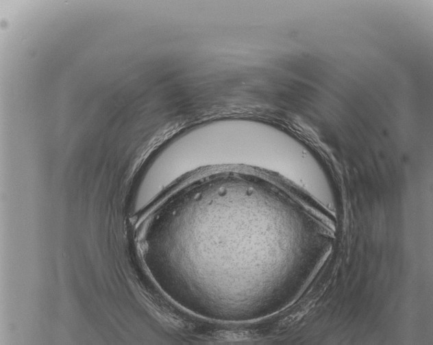 X0000061110250200512091824