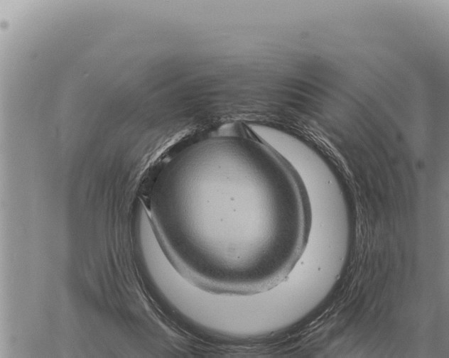 X0000061110251200512091824