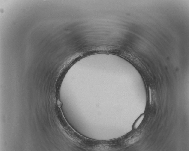 X0000061110252200512091824