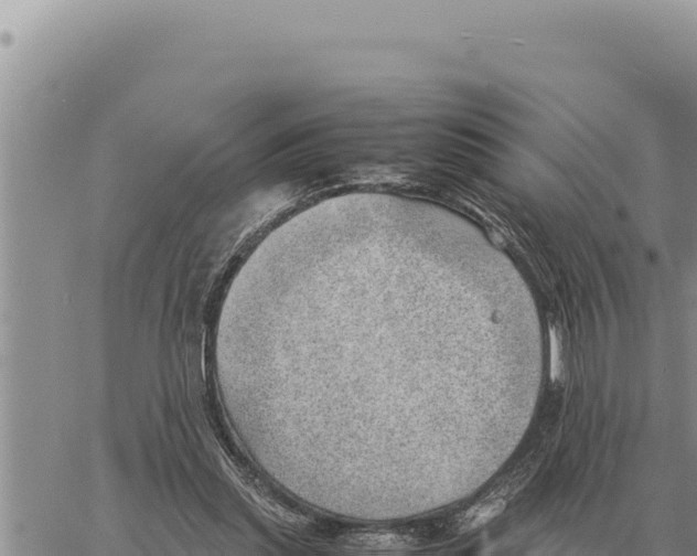 X0000061110253200512091824