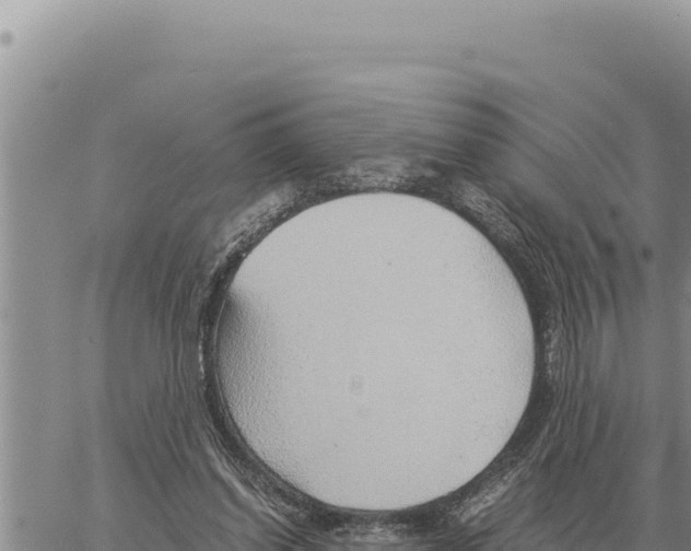 X0000061110254200512091824