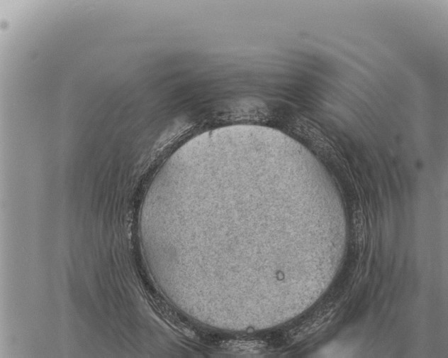 X0000061110255200512091824