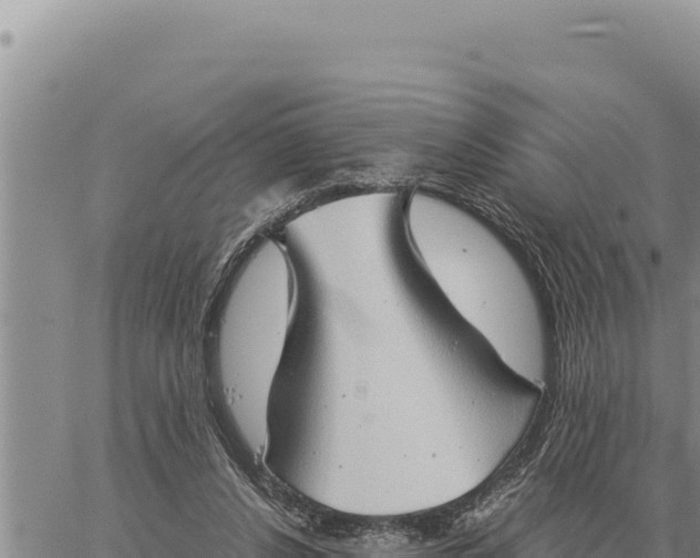 X0000061110256200512091824