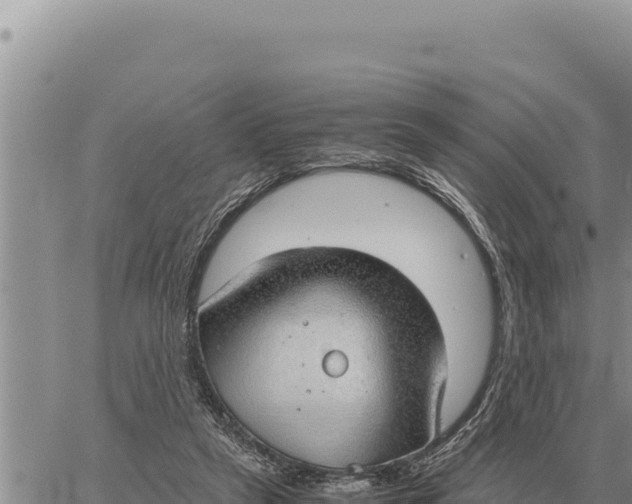 X0000061110257200512091824