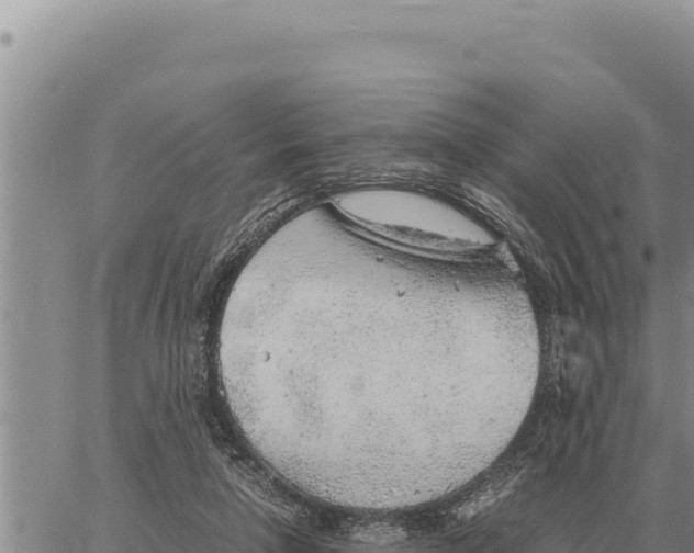 X0000061110258200512091824