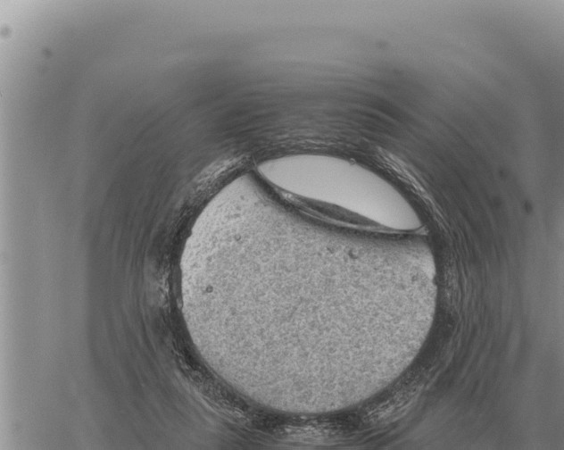 X0000061110259200512091824