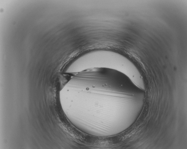 X0000061110260200512091824