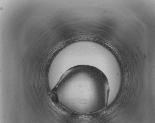 X0000061110261200512091824