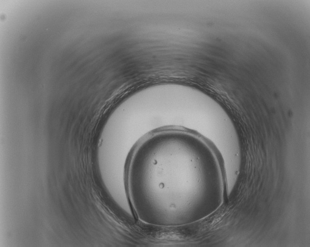 X0000061110262200512091824