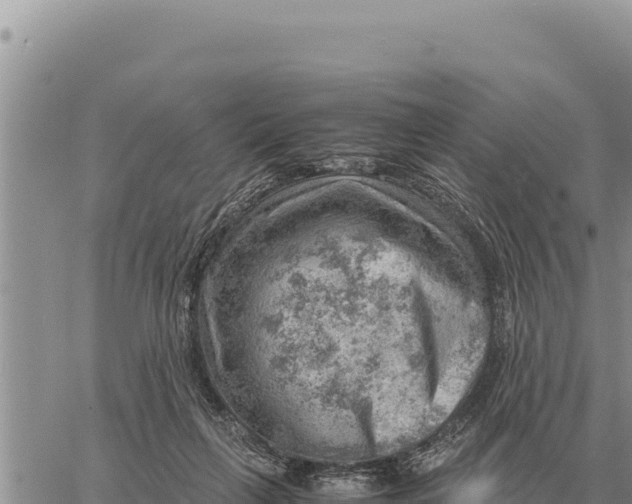 X0000061110263200512091825