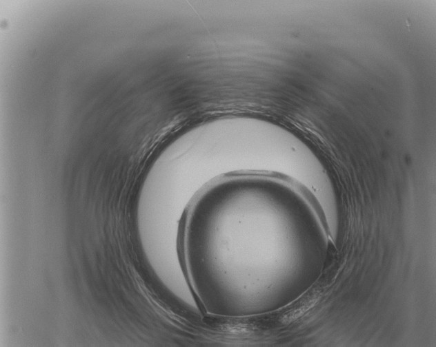 X0000061110264200512091825