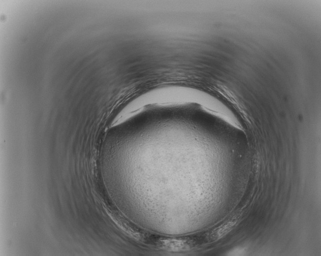 X0000061110265200512091825