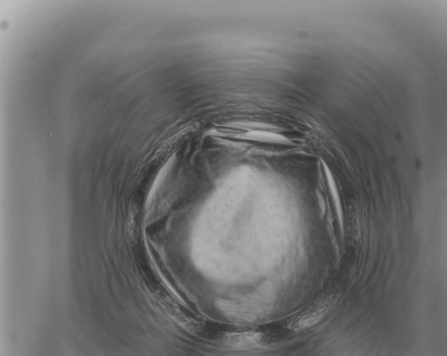 X0000061110266200512091825