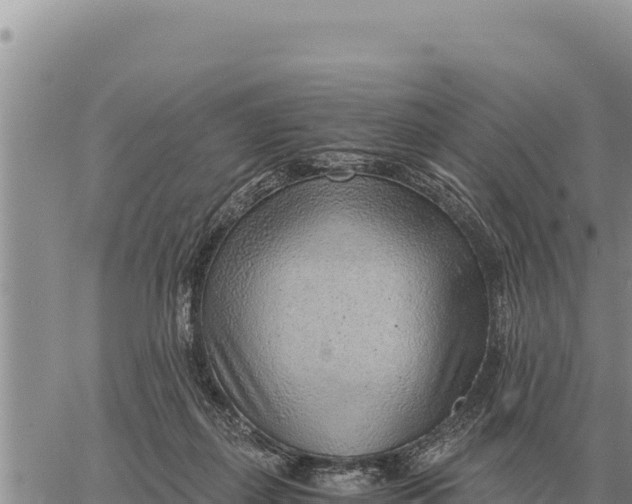 X0000061110267200512091825