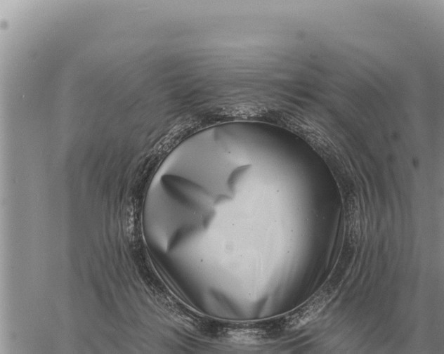 X0000061110268200512091825