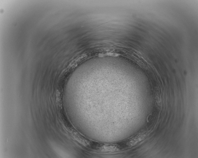 X0000061110270200512091825