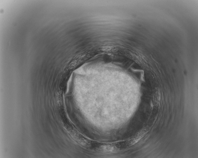 X0000061110272200512091825