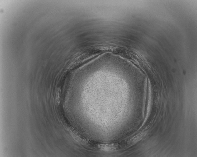 X0000061110273200512091825